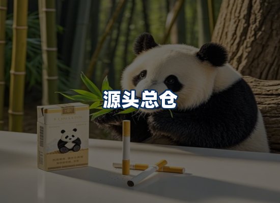 专业团队办公环境